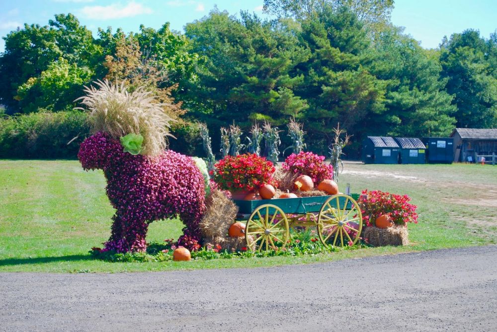flower animal and wagon